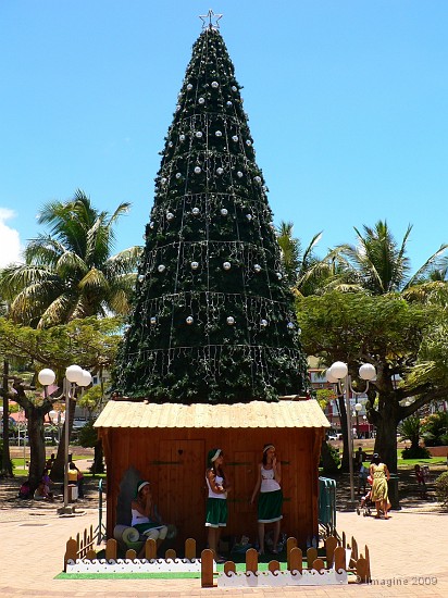 11- Le sapin de Noel de la place des cocotiers.JPG
